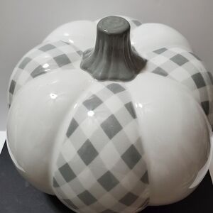 Grey & White Pumpkin